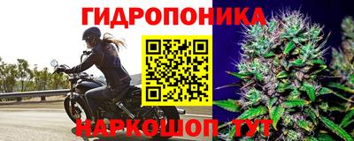 прущий лед Будённовск