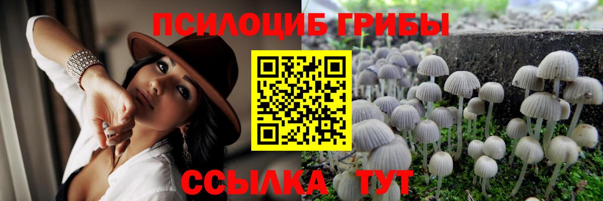Псилоцибиновые грибы мухоморы Тольятти