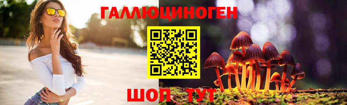 Тольятти  Галлюциногенные грибы MAGIC MUSHROOMS  даркнет сайт  Вход с VPN 