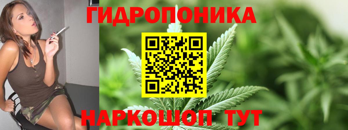Канабис THC 21%  Вход с VPN  Тольятти  Конопля AK-47  МАРИХУАНА SATIVA & INDICA  Бошки марихуана MAZAR 